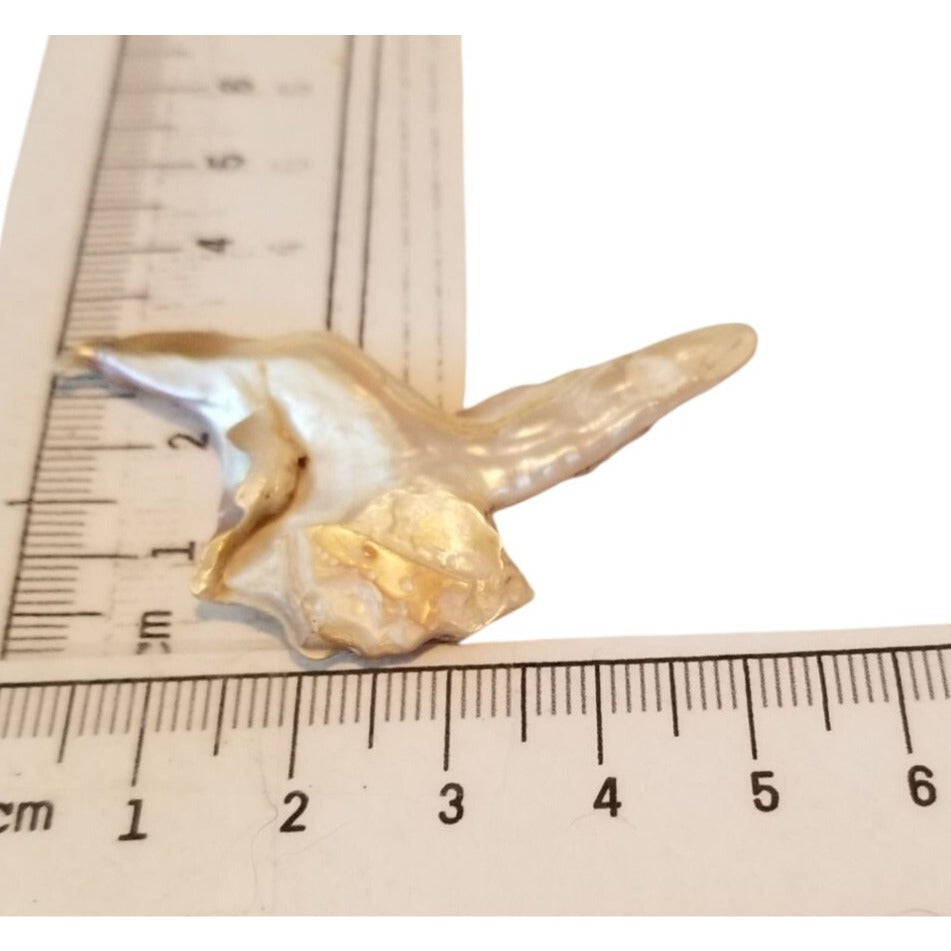 Loose Baroque Bird Wimgs Freshwater Keshi 24 ct  4.8 gr  5.5 cm  x 3 cm