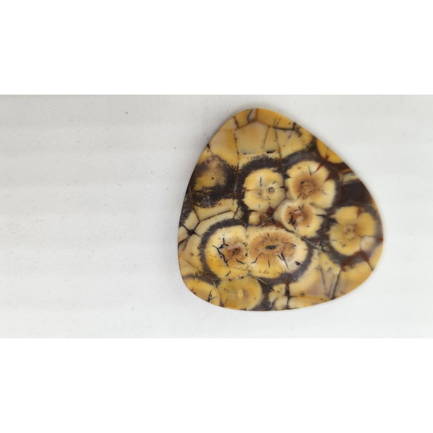 Gemstone Loose Peanut Wood Stone Bracelet  Pendant size  43.5 ct  8.7 gr