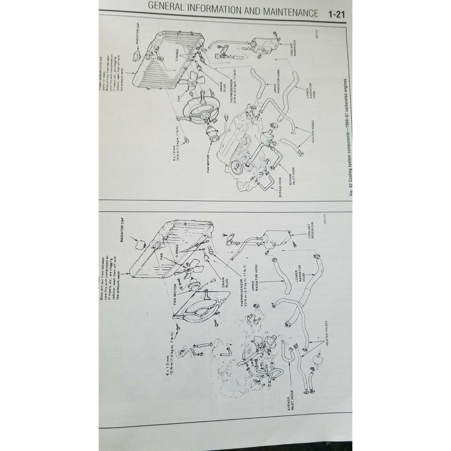 1984 - 99  Chilton's Honda Civic CRX Del Sol  Repair manual #30200 Car