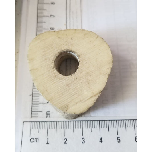 Petrified Wood Candle Holder Air Plant 5 cm x 6 cm  11 cm x 1 cm Hole in the middle