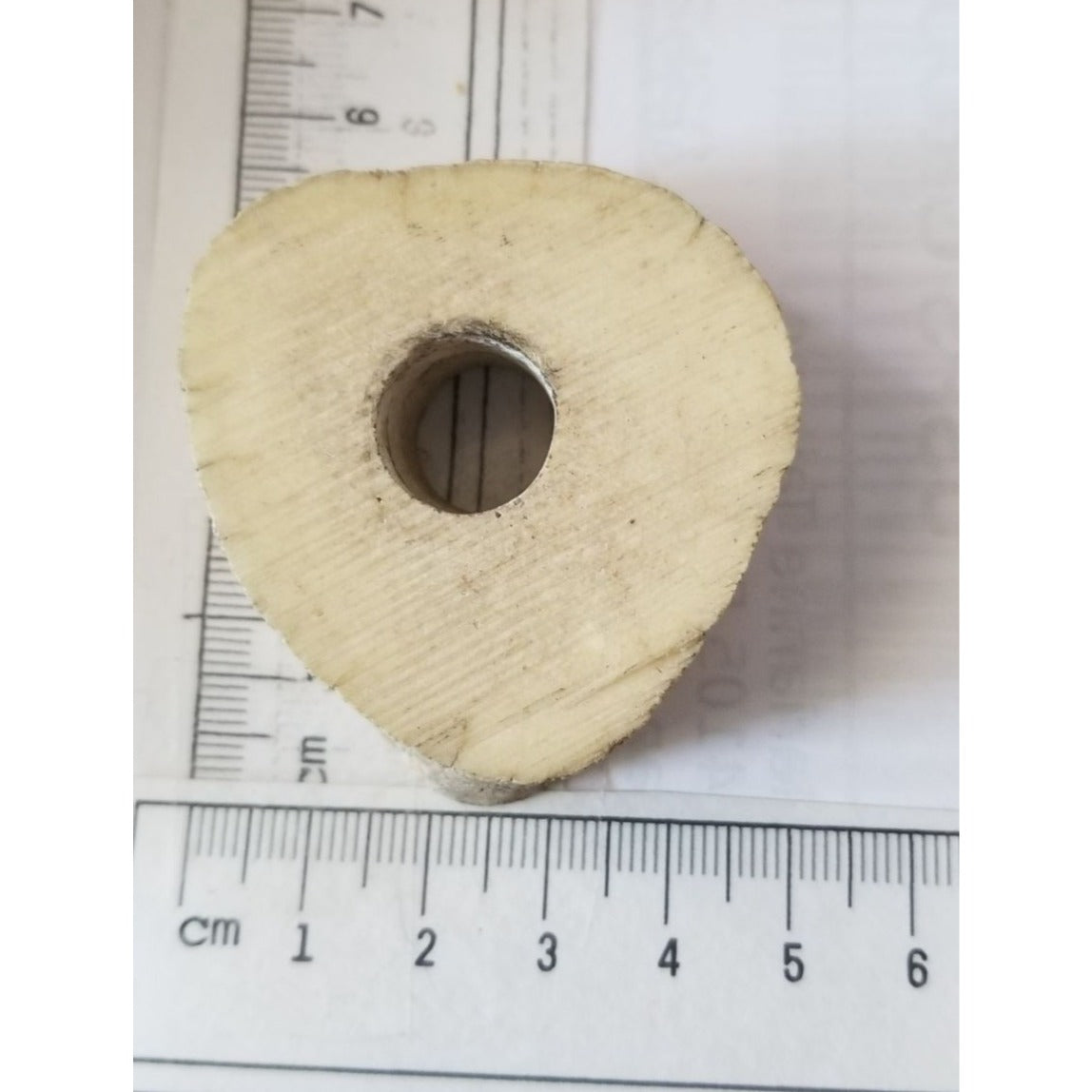 Petrified Wood Candle Holder Air Plant 5 cm x 6 cm  11 cm x 1 cm Hole in the middle
