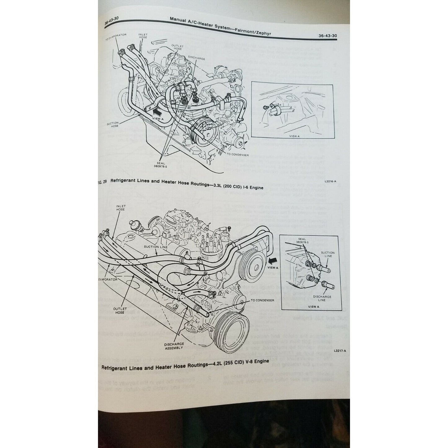Book 1981 Ford  Car Shop Manual Body Chassis Electrical Thunderbird XR- 7 Mustang