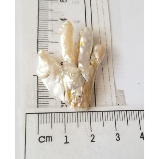 Loose Baroque Chicken Feet Freshwater Keshi 25.5 ct  5.1 gr 4 cm  x 3 cm