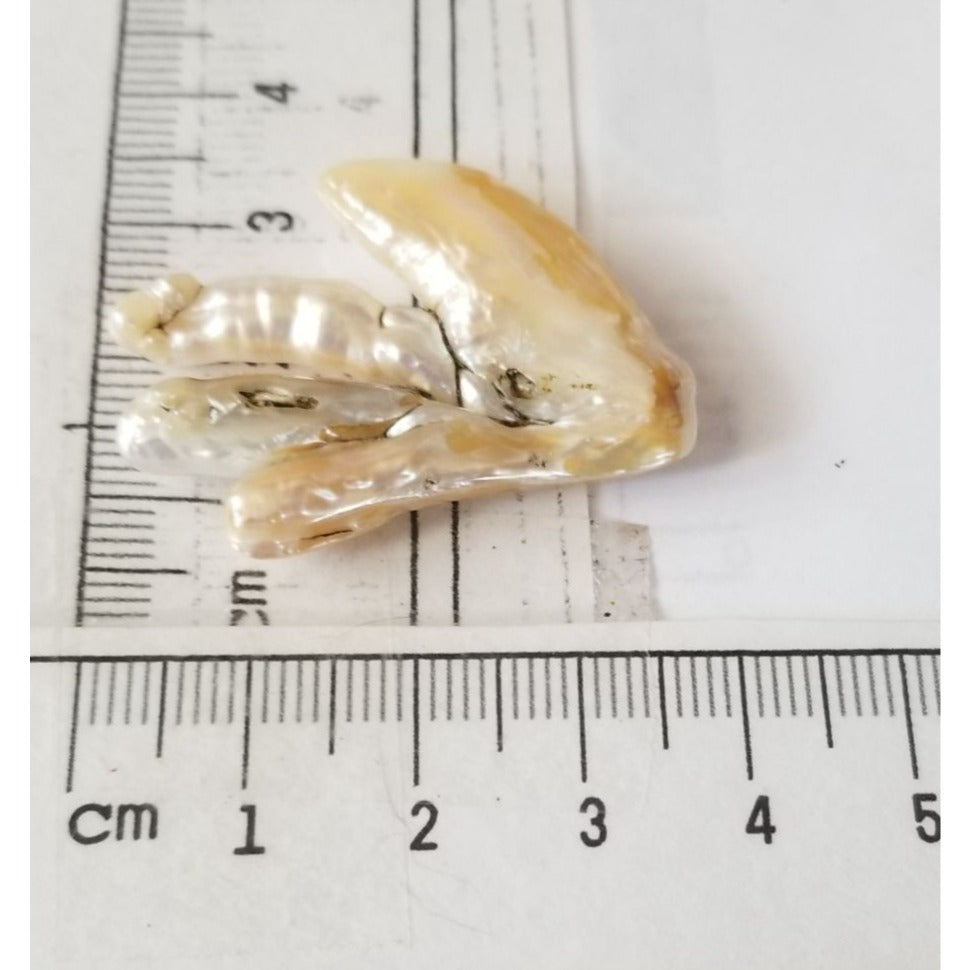 Loose Baroque Chicken Feet Freshwater Keshi 25.5 ct  5.1 gr 4 cm  x 3 cm