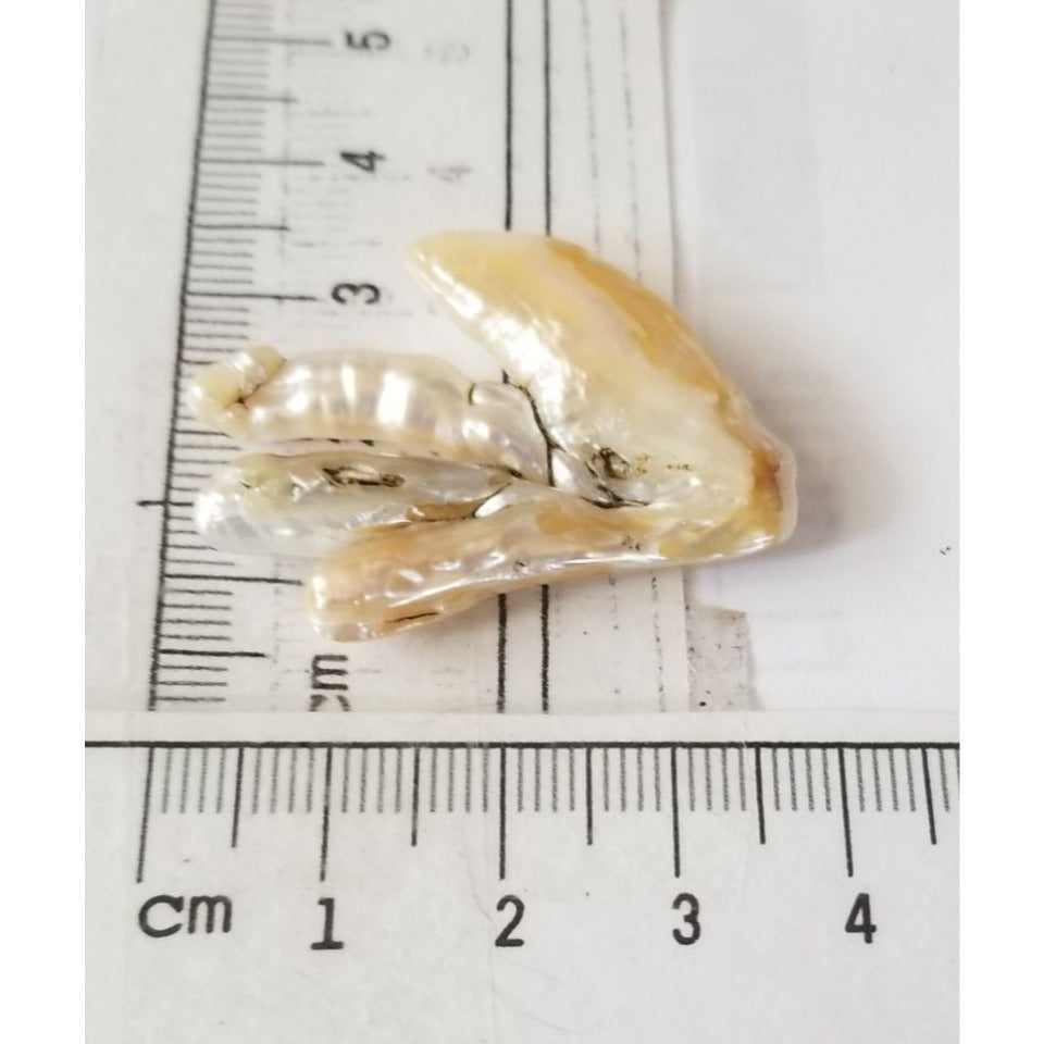 Loose Baroque Chicken Feet Freshwater Keshi 25.5 ct  5.1 gr 4 cm  x 3 cm