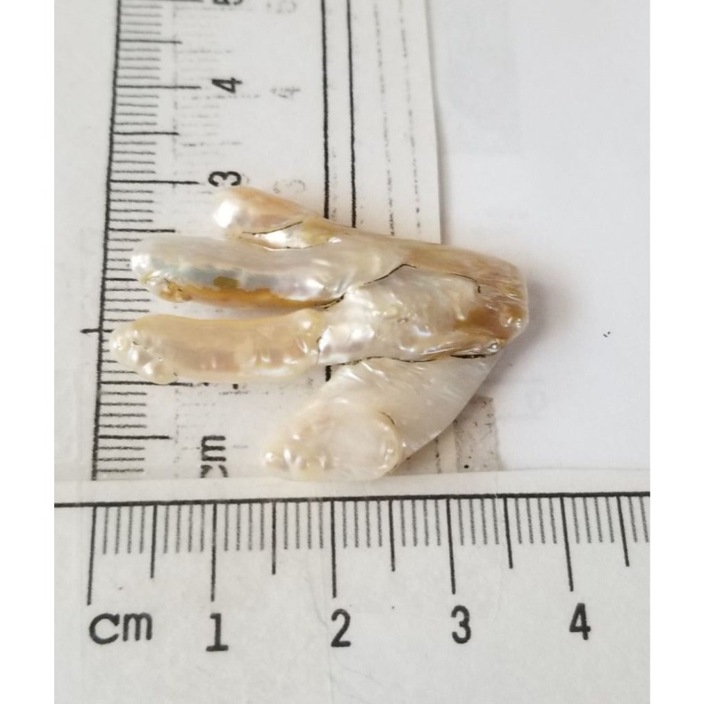 Loose Baroque Chicken Feet Freshwater Keshi 25.5 ct  5.1 gr 4 cm  x 3 cm