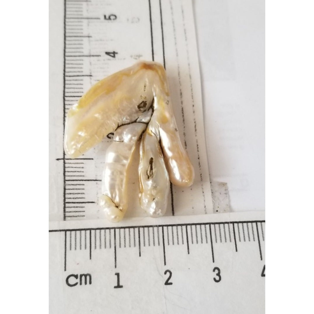 Loose Baroque Chicken Feet Freshwater Keshi 25.5 ct  5.1 gr 4 cm  x 3 cm