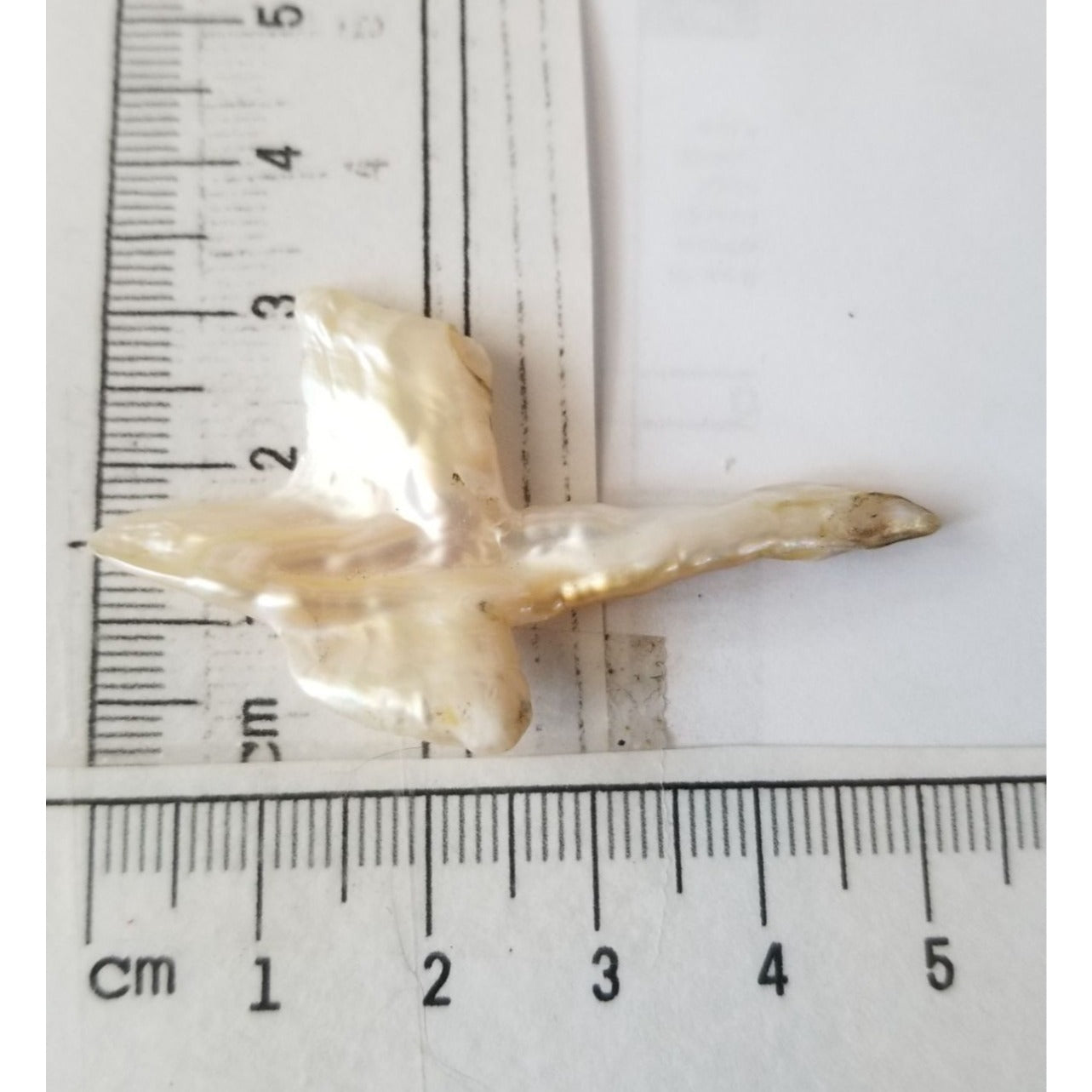 Loose Baroque Look like Big Sward   Freshwater Keshi 18 ct  3.7 gr  5.5  cm  x 3.5  cm
