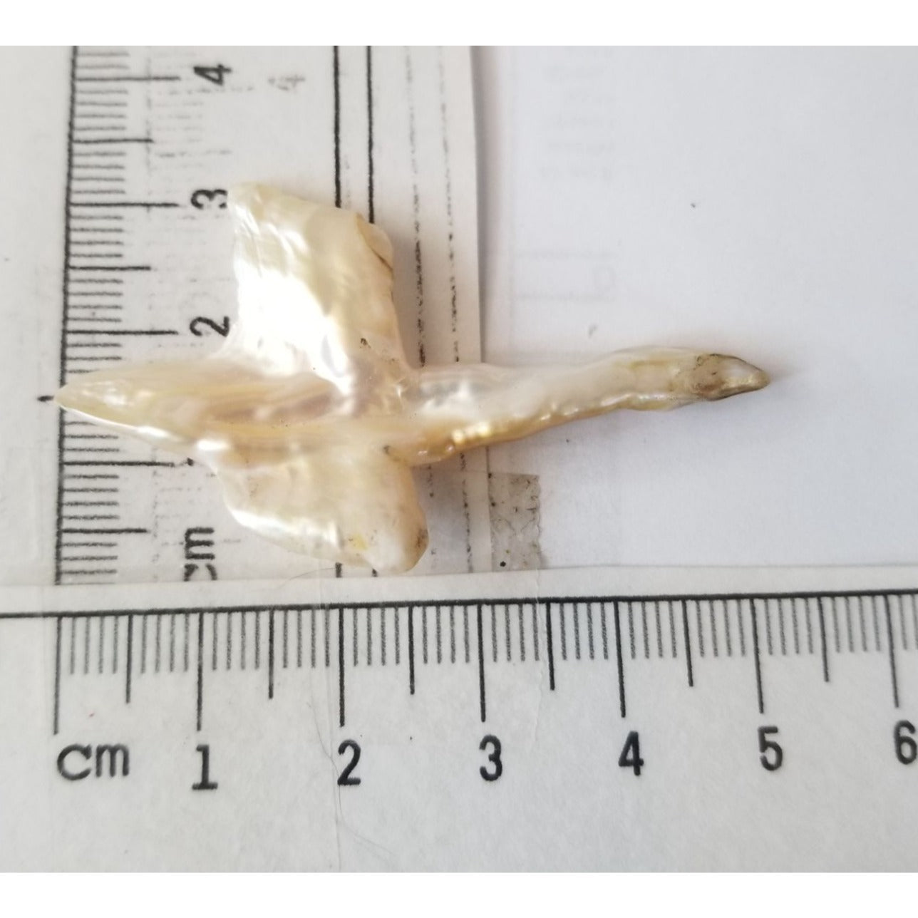 Loose Baroque Look like Big Sward   Freshwater Keshi 18 ct  3.7 gr  5.5  cm  x 3.5  cm