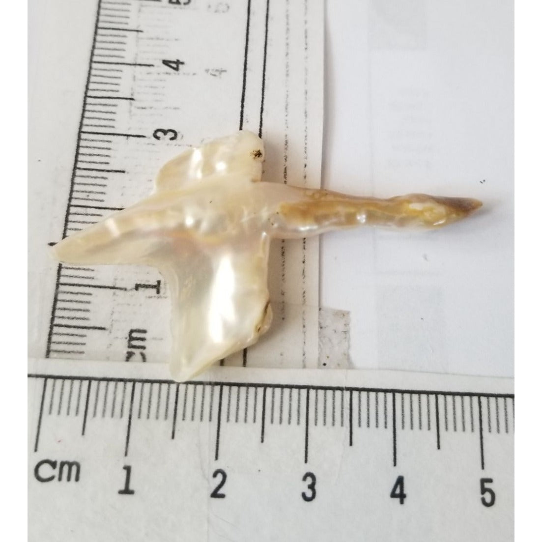 Loose Baroque Look like Big Sward   Freshwater Keshi 18 ct  3.7 gr  5.5  cm  x 3.5  cm