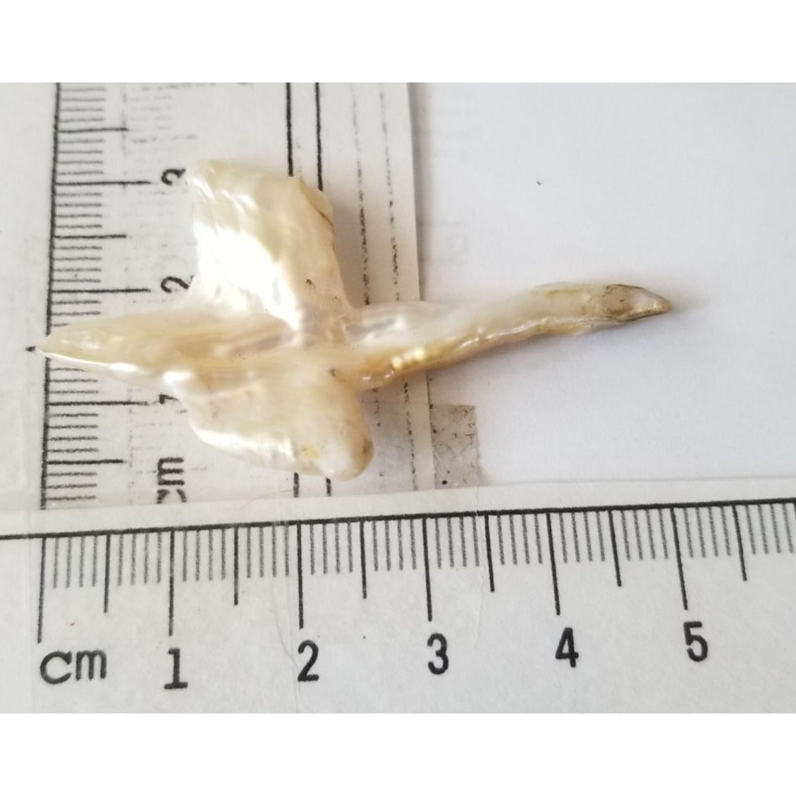 Loose Baroque Look like Big Sward   Freshwater Keshi 18 ct  3.7 gr  5.5  cm  x 3.5  cm