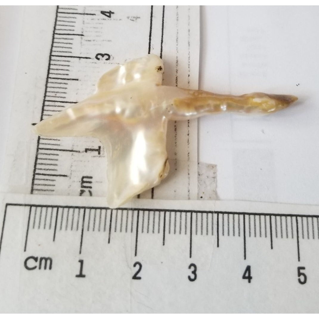 Loose Baroque Look like Big Sward   Freshwater Keshi 18 ct  3.7 gr  5.5  cm  x 3.5  cm