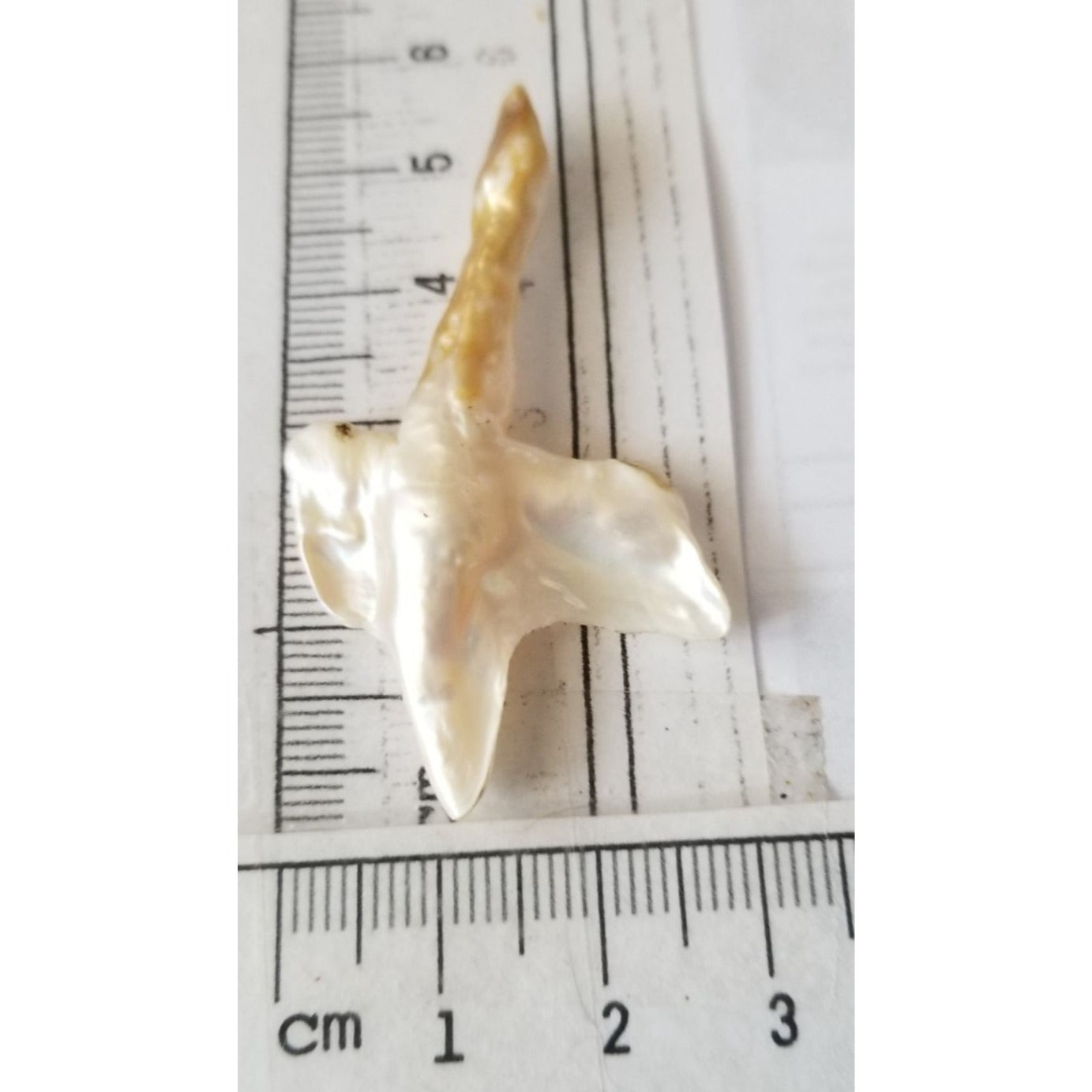 Loose Baroque Look like Big Sward   Freshwater Keshi 18 ct  3.7 gr  5.5  cm  x 3.5  cm