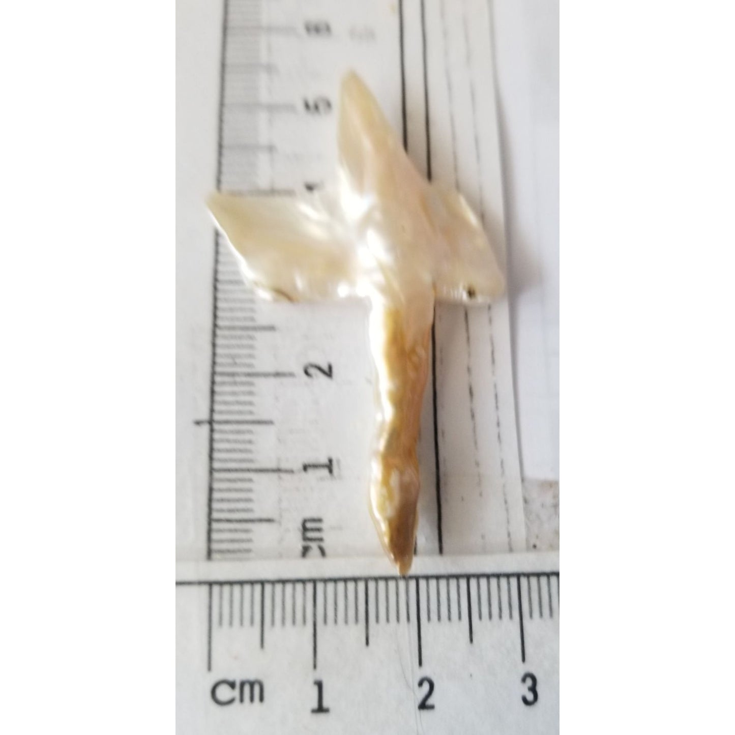 Loose Baroque Look like Big Sward   Freshwater Keshi 18 ct  3.7 gr  5.5  cm  x 3.5  cm