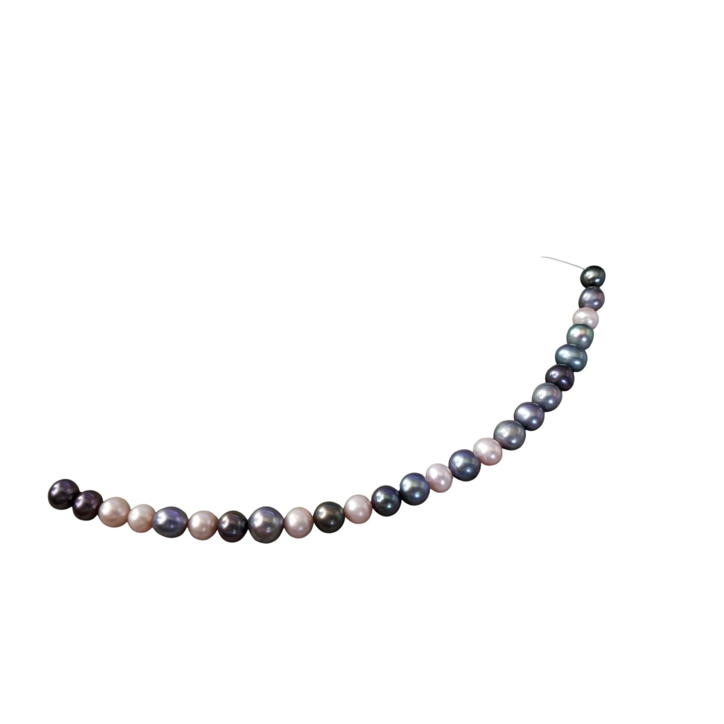 Loose Pearl Peacock  Pearl Bag H 7  Round 8 mm  Bin Pearl  25  Pcs   61 ct  11.9 gr  7" Drilled