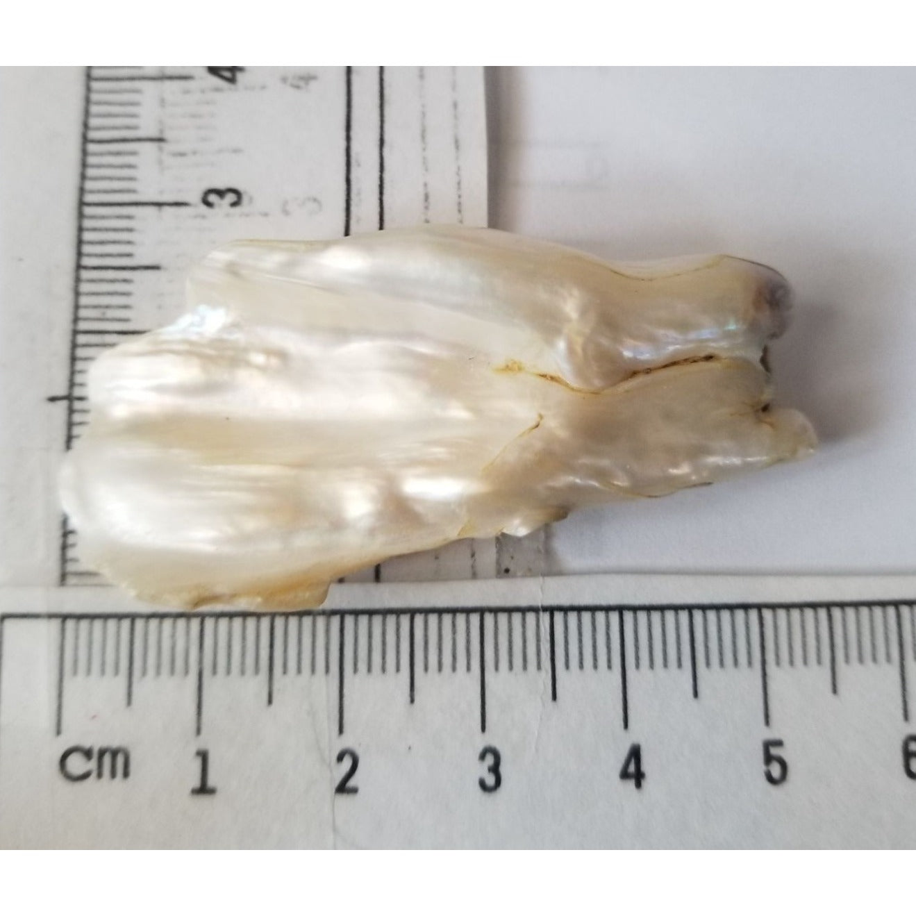 Loose Baroque Look like fan  Freshwater Keshi 54 ct  11 gr  5.5  cm  x 2.5  cm