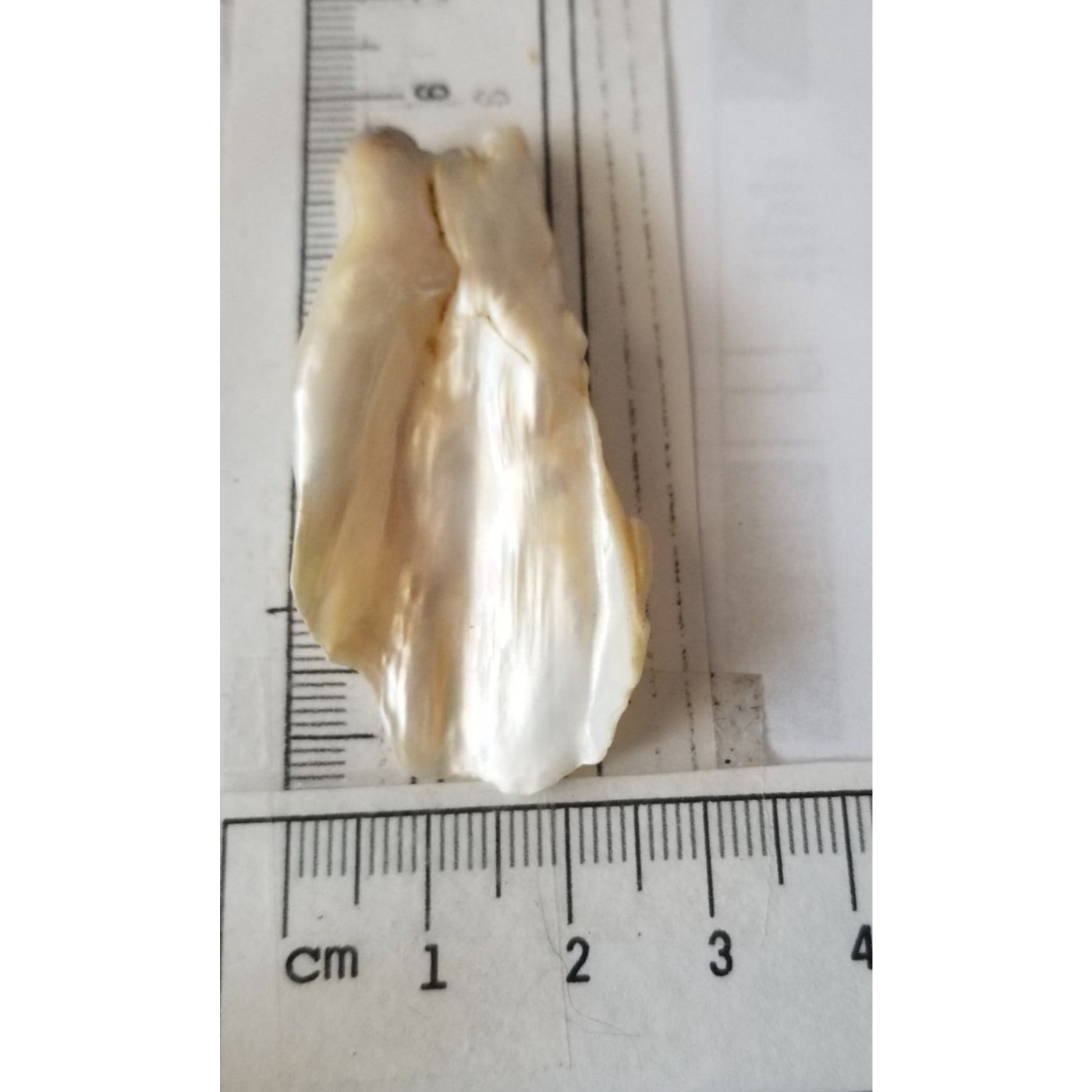 Loose Baroque Look like fan  Freshwater Keshi 54 ct  11 gr  5.5  cm  x 2.5  cm