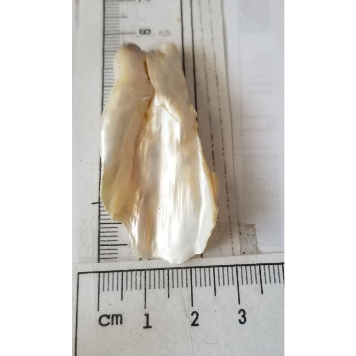 Loose Baroque Look like fan  Freshwater Keshi 54 ct  11 gr  5.5  cm  x 2.5  cm