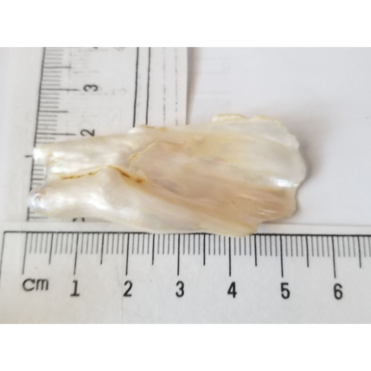 Loose Baroque Look like fan  Freshwater Keshi 54 ct  11 gr  5.5  cm  x 2.5  cm