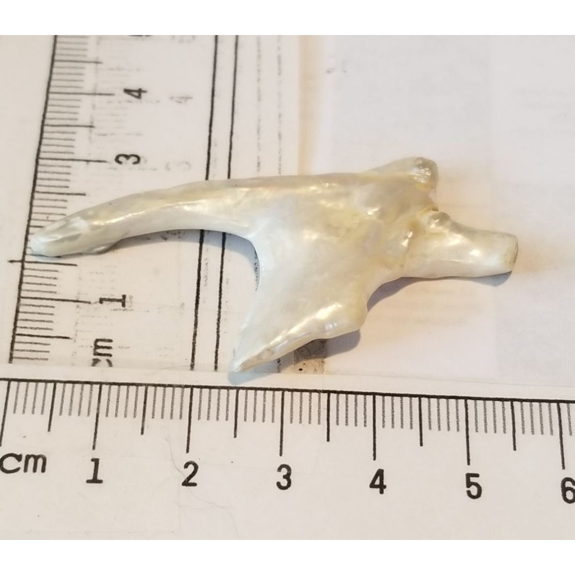 Loose Baroque Arrow Big 4  Freshwater Keshi 28  ct  5.6  gr  5.5 cm  x 3 cm Real Natural