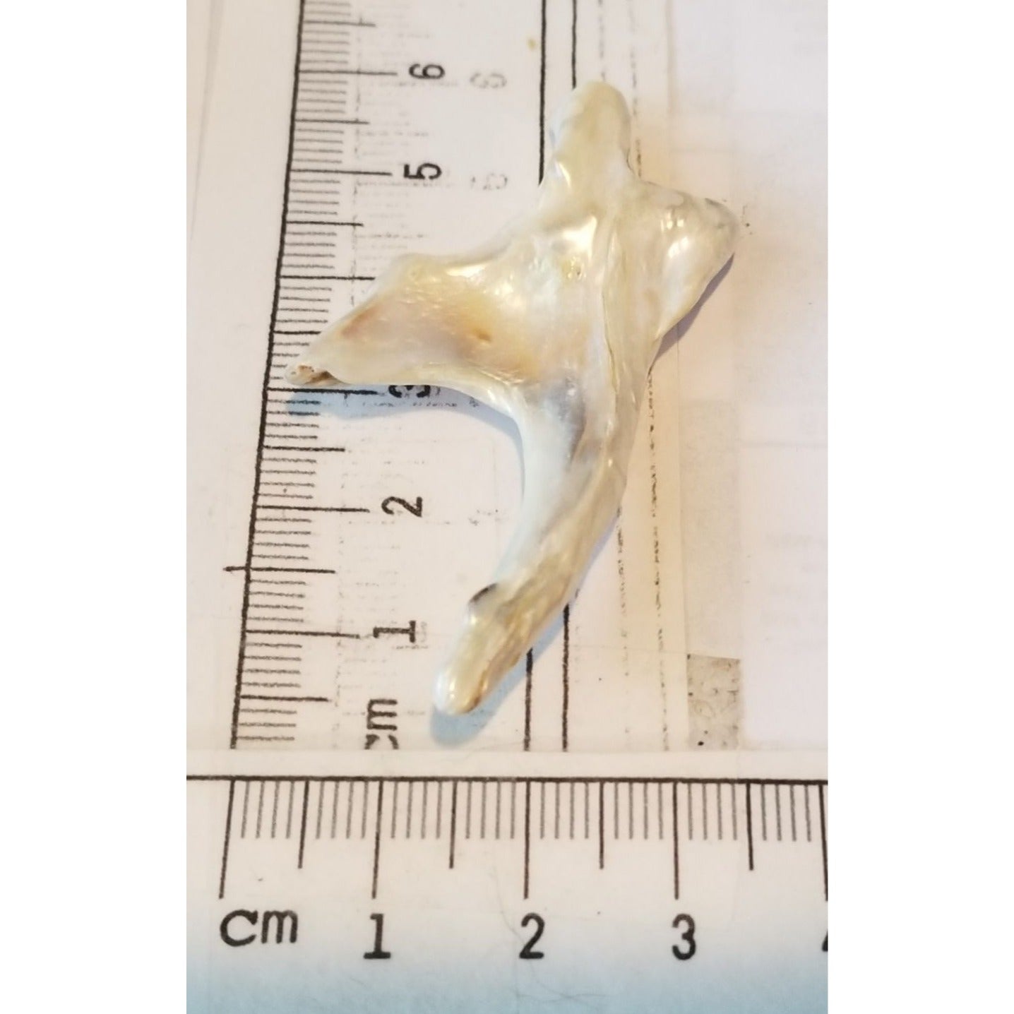 Loose Baroque Arrow Big 4  Freshwater Keshi 28  ct  5.6  gr  5.5 cm  x 3 cm Real Natural