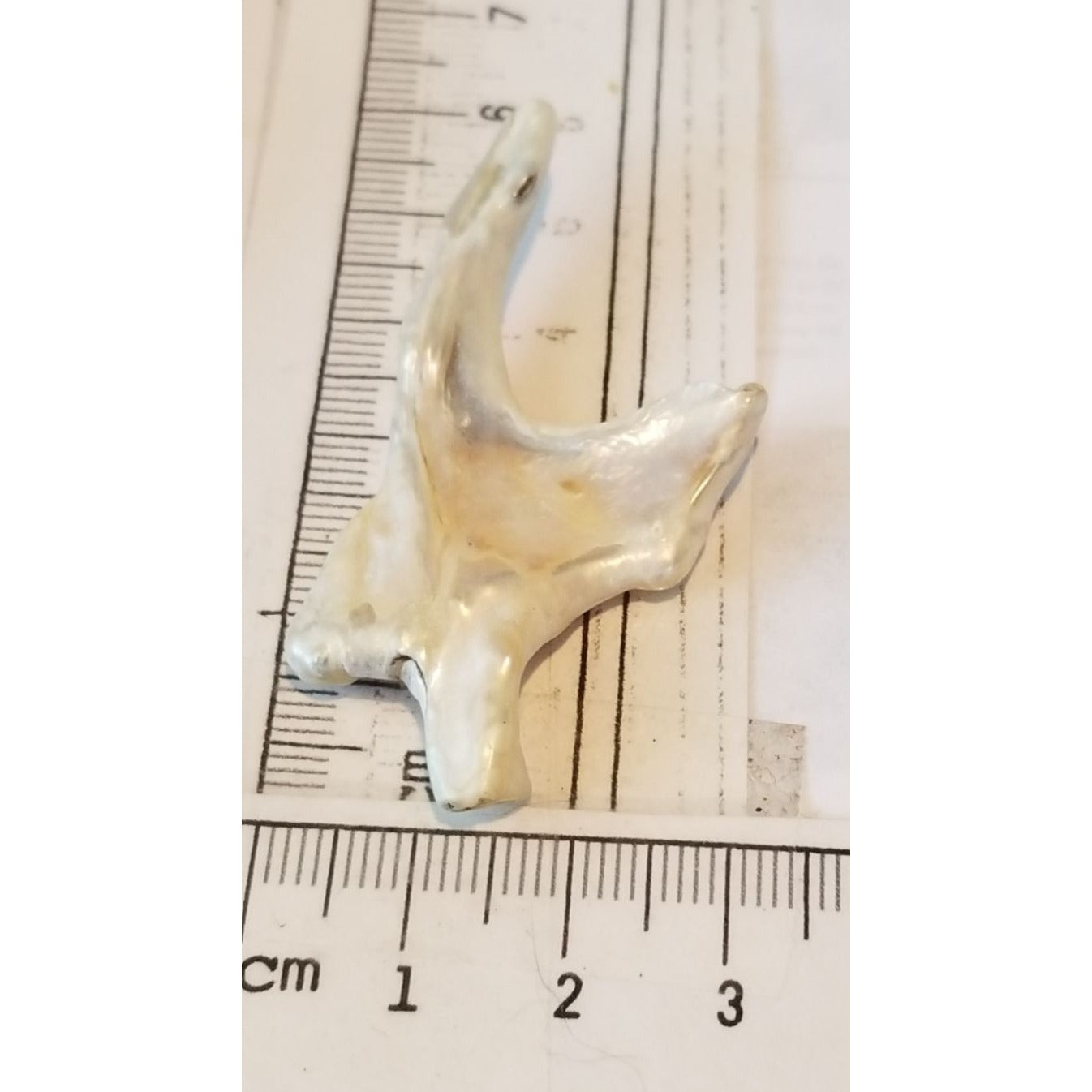 Loose Baroque Arrow Big 4  Freshwater Keshi 28  ct  5.6  gr  5.5 cm  x 3 cm Real Natural