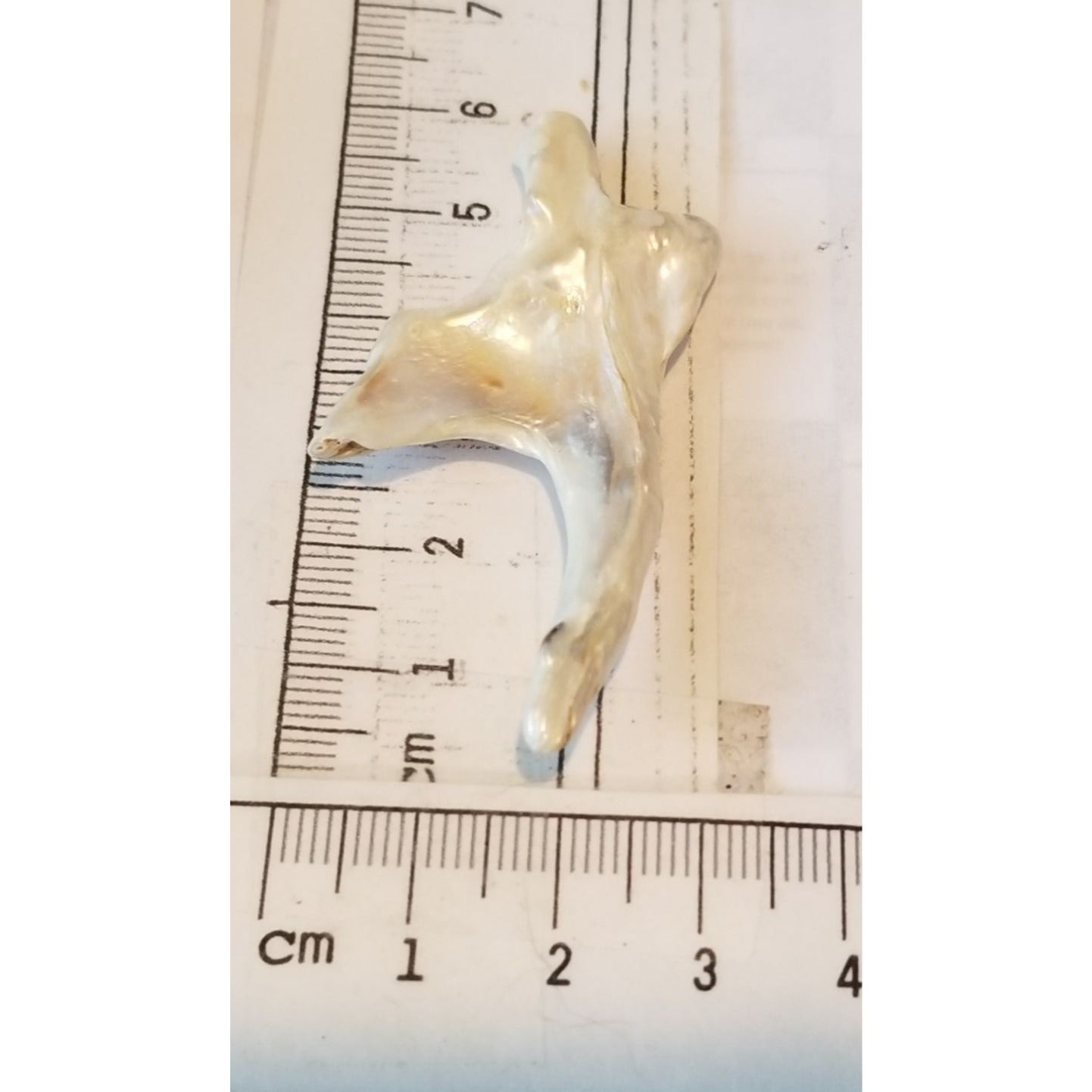 Loose Baroque Arrow Big 4  Freshwater Keshi 28  ct  5.6  gr  5.5 cm  x 3 cm Real Natural