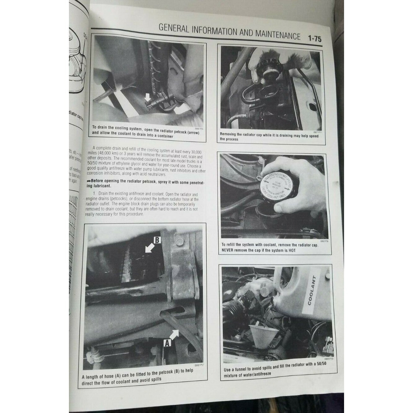 Book 1983 - 90  Chilton's Ford Ranger Bronco II Repair Manual 2 and 4 Wheel Drive