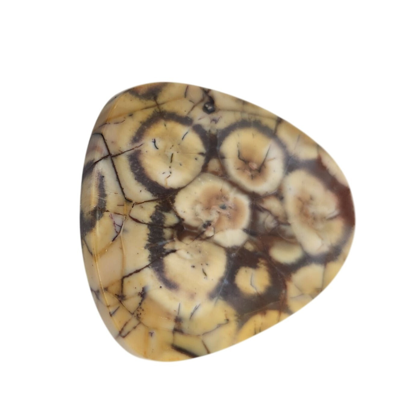 Gemstone Loose Peanut Wood Stone Bracelet  Pendant size  43.5 ct  8.7 gr