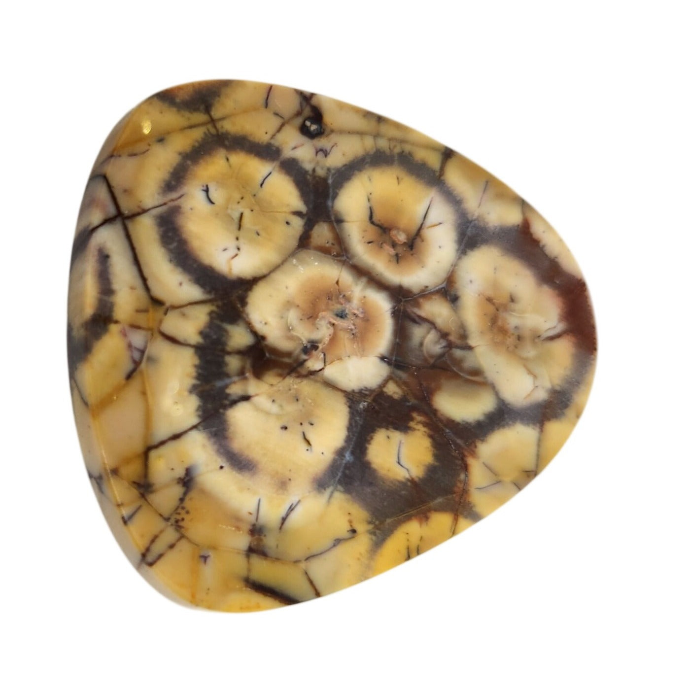 Gemstone Loose Peanut Wood Stone Bracelet  Pendant size  43.5 ct  8.7 gr