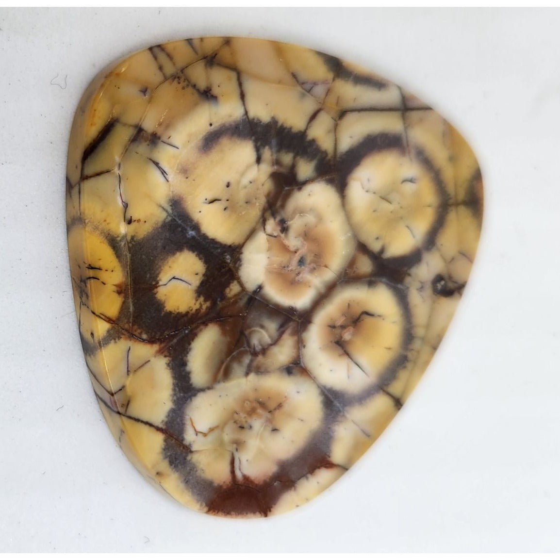 Gemstone Loose Peanut Wood Stone Bracelet  Pendant size  43.5 ct  8.7 gr