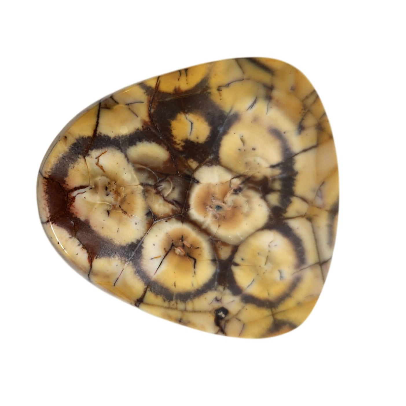 Gemstone Loose Peanut Wood Stone Bracelet  Pendant size  43.5 ct  8.7 gr