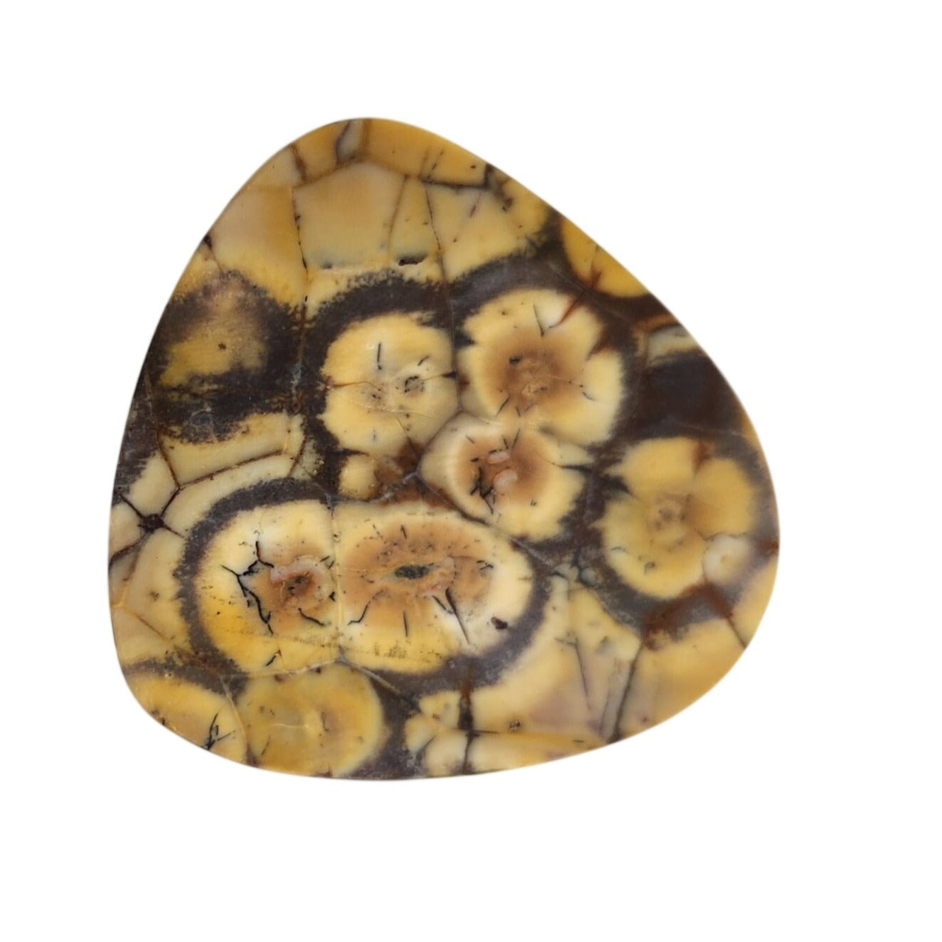 Gemstone Loose Peanut Wood Stone Bracelet  Pendant size  43.5 ct  8.7 gr