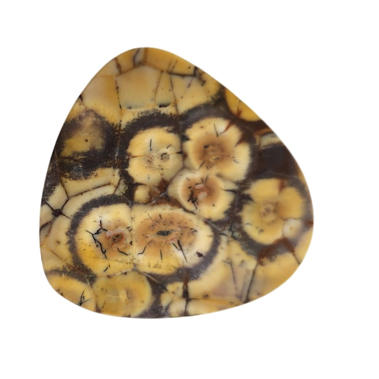 Gemstone Loose Peanut Wood Stone Bracelet  Pendant size  43.5 ct  8.7 gr