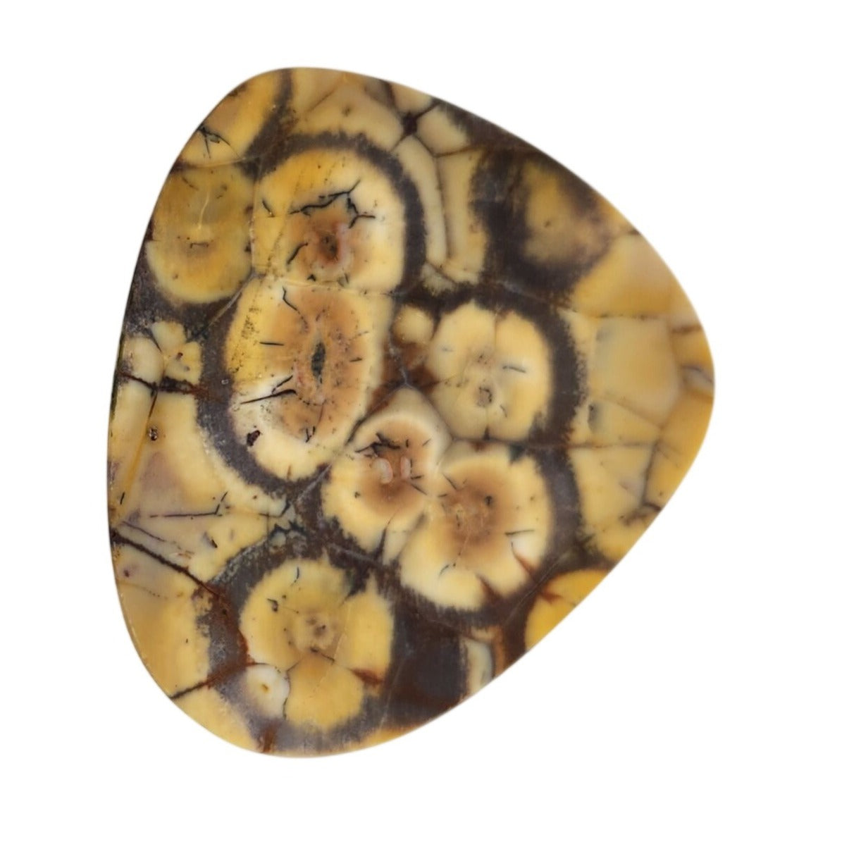 Gemstone Loose Peanut Wood Stone Bracelet  Pendant size  43.5 ct  8.7 gr